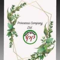 Princessa Company Ltd Logo